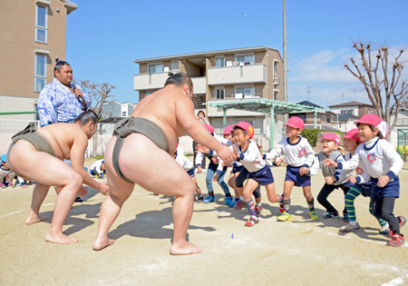 相撲ブログ.jpg