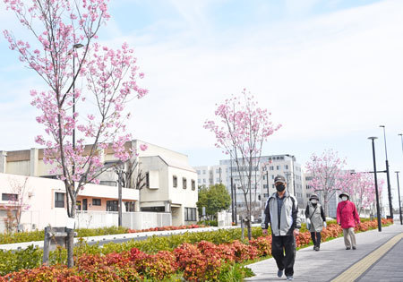 0321walking.jpg