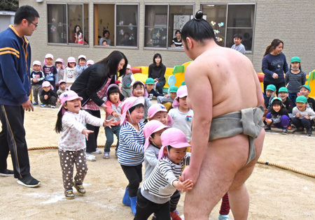 相撲東羽衣.jpg